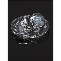 Ledil C13155_EMERALD-A Lens Single Lens Emergency Light