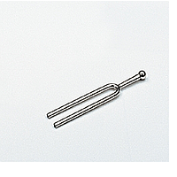 PHYWE 03424-00 Tuning Fork (440 Hz)