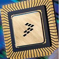 NXP DSPB56725CAF Audio Processor PB FREE DSPB56724 AP