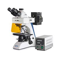 KERN OBN 141 Transmitted Light Microscope (Trinocular, 4x/10x/20x/40x/100x)