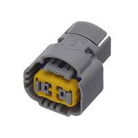 Aptiv F487000 Lamp Sockets FEM PG18.5 CODING1