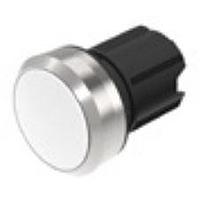 EAO 45-2131.3190.000 Switch Actuators Mtl/Plstic 2Pos WHT Momen