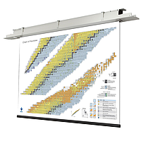 PHYWE BLU-NK-MOTOR4-VV-EN Chart Of Nuclides (Motorized screen, 421 cm x 300 cm, full version)