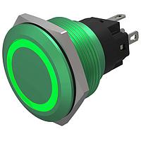 EAO 82-6851.1134 Anti-Vandal Illuminated Pushbutton, Momentary, 22mm, Alu Green, Flush, Ring,Green, 24V, Solder Terminals
