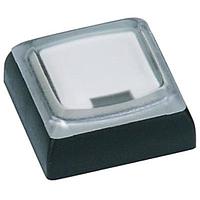 RAFI 5.04.665.521/5520 Switch Bezels / Switch Caps TASTE