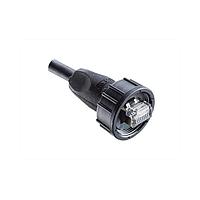 Amphenol LTW RCP-5SBMMM-SLM7B10 Cat 5e RJ, Middle Size, Plastic, 1.5A, Cat 5e, Straight, Screw Thread, Overmolded, Length 10000mm, IP67 Mated