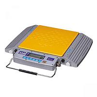 CAS RW-10S Wheel Weighing Scale (10 tons)