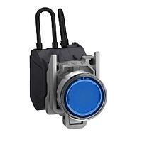 SCHNEIDER XB4BW26BM5GEX Pilot Light HAZ LOC PUSHBUTTON SWITCH, 24- 240 Vac/dc, Blue, -40 +70 , IP66