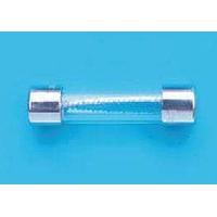 Bel Fuse 3SB 15-R Glass Fuses