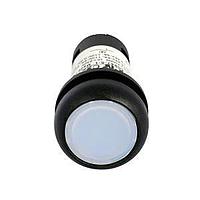 Eaton C22S-DL-W-K10-120 Pushbutton Switches ILL MOM PB BLK-BZL FLSH WHT 120V 1NC