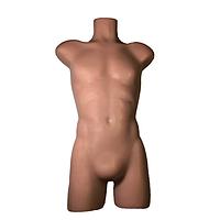 True Phantom Solutions US-S01 Adult Torso (Skin) For X-Ray CT, US