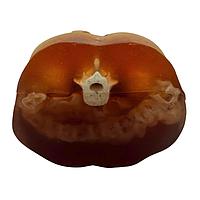 True Phantom Solutions US-A03 Adult Sectional Abdomen (Portable FAST Simulator) For X-Ray CT, US