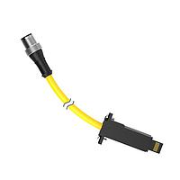 Banner Engineering DELPE-81D Sensor Cables / Actuator Cables Cordset: Double Ended M12 to LP-Custom; 8-pin Straight Male; 11-pin Straight Male; 0.3 m 8x22 Yellow PVC Jacket; Nickel-Plated Brass Coupling Nuts