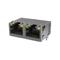 Amphenol Commercial Products RJE492881411 Connectors Low Profile CAT6 RJ45 - 2 Port with LED, Shielded with EMI Tabs