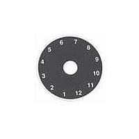 Electroswitch P112 Dial Plate 12 POS DIAL PLATE