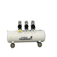 PEGASUS TM-OF750x3-70L Oil Free Silent Air Compressor (220V, 8 Kg/cm, 70L)