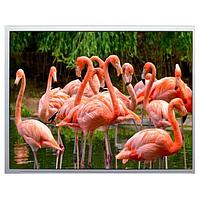 KYOCERA Display TCG121SVLPAAFA-AA20 TFT Displays 400NITS, TN, 4-WIRE RES, CCC