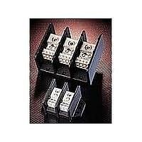 Littelfuse 0LD55522Z Power Distribution Block 5552 Series 2 Term Distribution Block
