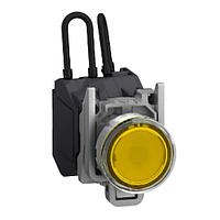 SCHNEIDER XB4BW25BM5GEX Pilot Light HAZ LOC PUSHBUTTON SWITCH, 24- 240 Vac/dc, Orange, -40 +70 , IP66