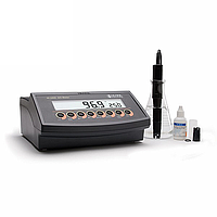 Hanna HI2400-02 Dissoloved Oxygen Meter (0.00 to 45.00 mg/L)
