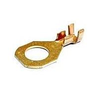 Aptiv 02962953 Accessories TERM RING STR CBL RGE 5.0-3.0