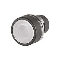 EAO 46-2234.11N0.000 Flush Actuator, oe 22.3 mm, oe 29 mm, flush, illuminative, White, Plastic, transparent, round, Black, Plastic, Maintained, IP65, IK03