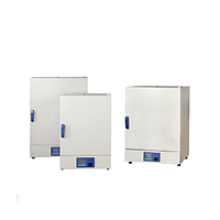 Bluepard DHG-9031A Natural Convenction Drying Oven (27L,200°C)