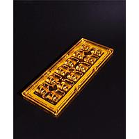 Ledil CS19240_AMBER-IP-2X6-T2 Lens Assembly rectang 12 Pos 71.4 x 173.0mm (
