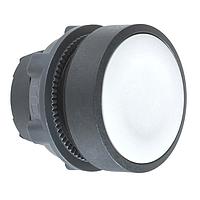 SCHNEIDER ZB5AA8 Head FLUSH PSH, GREY