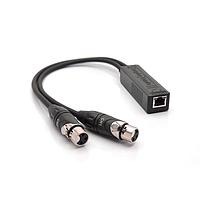 Amphenol Audio RJD2203-0050 Adapter Cable Two Channel Line Level Input