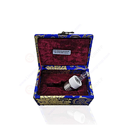 Lisun RLS-100W Auxiliary Lamp Test