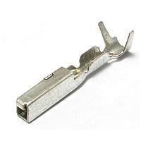 Aptiv F443100 Terminals 1.5 Female GTS-2 Clean Body SN Terminal