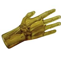 True Phantom Solutions HN-P01 Pediatric Hand For X-Ray CT, US, MRI