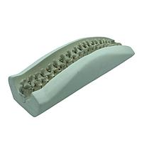 True Phantom Solutions SE-A03 Adult Spine For X-Ray CT