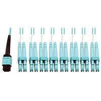 Tripp Lite N846D-01M-24CAQ Fiber Optic Cables 1M 24F MPO F/F 16SFBRPTCCBL AQ