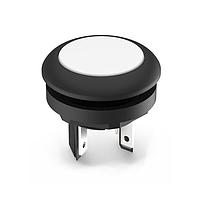 RAFI 1.15.210.101/2201 Sealed LUMOTAST 16 Ill. Momentary Pushbutton