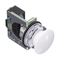 Omron Automation and Safety ZAP-2W Power Switches Non-lighted PB,White,SPDT