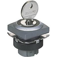 RAFI 1.30.245.271/0700 Switch Actuators RAFIX 22 QR Keylock switch 90