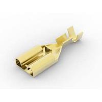 AMP Connectors - TE Connectivity 63933-1 Terminals REC 250 POS LOC 22-18 0157 BR