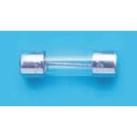 Bel Fuse 5ET 6.3-R Glass Fuses