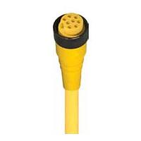 Lumberg Automation RK 70M-622/12F Sensor Cables / Actuator Cables