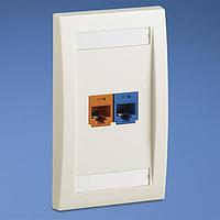 Panduit CFKE2F6U3F Modular Connectors / Ethernet Connectors Faceplate 2 Port Exec 1 Cat6 and