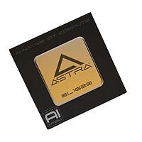 Processors Application Specialized