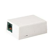 Panduit CBXJ2AW-A Wire Ducting & Raceways Surf Mount Box 2 Port Arctic White