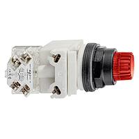 SCHNEIDER 9001SK2L36RH13 Standard Switches PUSHBUTTON 600VAC 10AMP 30MM SK +OPTIONS