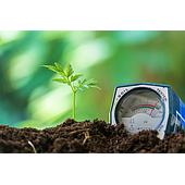 Bạn có biết trong trồng trọt độ pH quan trọng như thế nào không ?