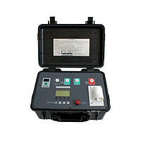 Zhiwei ZW1516-500V Insulation Resistance Tester (500V)