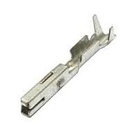 Aptiv PPI0000490-L Terminals FEMALE .64MM TERM 1.9MM INSUL DIA TIN