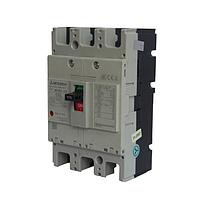 MITSUBISHI NF250-SV 3P 100A MCCB (3P 100A 36kA)