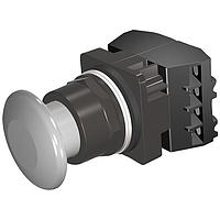 SIEMENS 52BM9W6G Pushbutton PUSHBUTTON,MOM,GRY,1 3/4" PLST,2POS,2NC